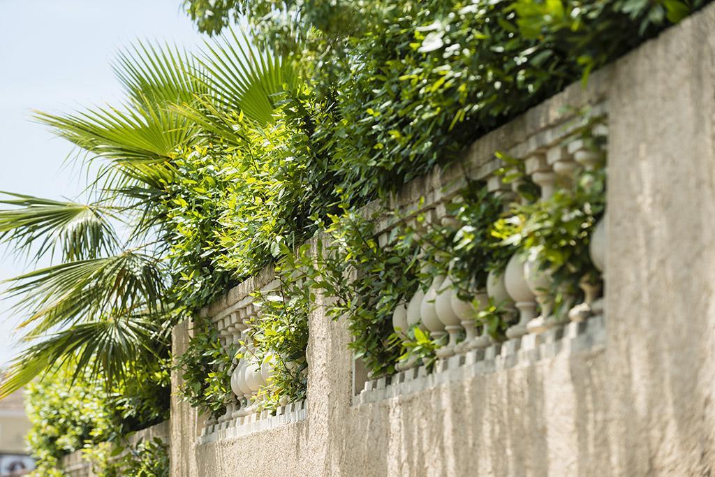 Les Jardins De La Mer Grimaud Luaran gambar